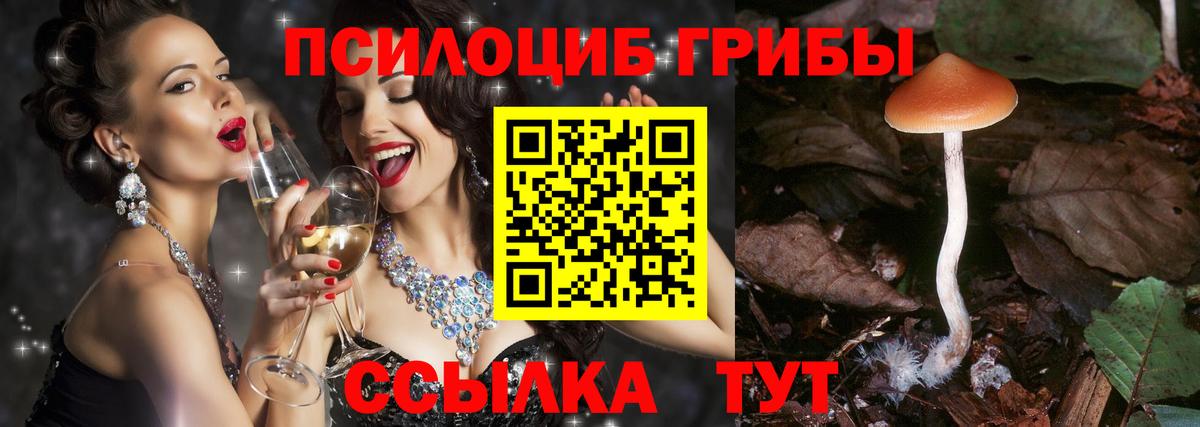 Галлюциногенные грибы MAGIC MUSHROOMS  Галлюциногенные грибы мухоморы  Ступино  Вход с VPN 